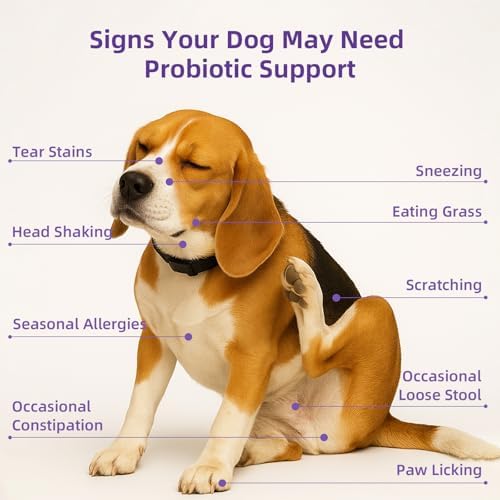 Dog Probiotic Chewable Tablets with Prebiotic, Apple Cider Vinegar & Papaya Powder, Pork Flavor Daily Digestive Supplement for All Breeds Dogs, 90 Count