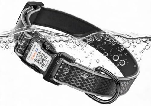Reflective Personalized Dog Collar, Large Dogs, Black, L (15.7"-23.6")