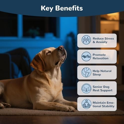 Melatonin for Dogs, 200ct Dog Calming Chews with Melatonin for Sleep, Fireworks, Storms, Thunder, Barking, Separation, Calming Chews for Dogs with Valerian Root & L-Theanine