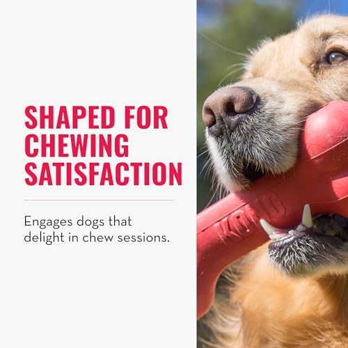 KONG Goodie Bone - Classic Durable Natural Rubber Dog Bone, Supports Mental Engagement - Treat Dispensing - Red - for Medium Dogs (Pack of 2)