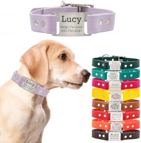 dogIDs Personalized Dog Collar – ScruffTag Custom Waterproof Biothane Dog Collar with Laser-Engraved Name, Durable & Odor-Resistant – USA Made | Lavender, 1 in x 16 in (Fits Neck Sizes 14-18 in)