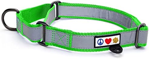 Pawtitas Personalized Dog Collar Martingale Dog Collar with Name Phone Number Reflective Martingale Dog Collar Customized Collar for Small Dogs | Green Custom Dog Collars for Small Dogs