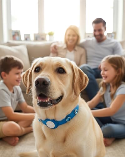 Upgraded AirTag Dog & Cat Collar - Adjustable Diamond-Studded Leather Dog Collar with Quick-Release Buckle | Luxurious Jewelry Accessory for Small, Medium, and Large Dogs & Cats (L (14"-18"))