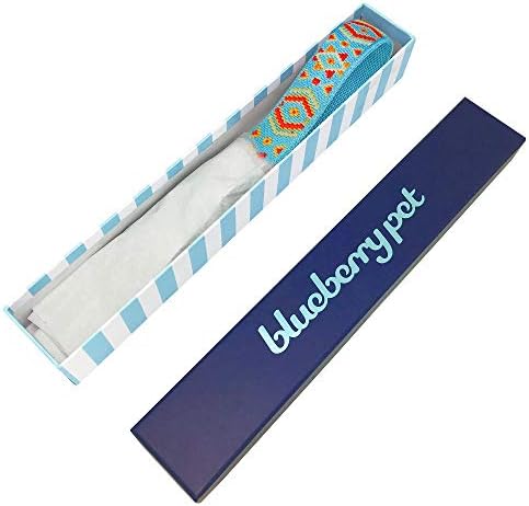 Blueberry Pet 3 Patterns Southwestern Magical Tribal Print Genuine Leather & Polyester Fabric Combo Dog Collar with Metal Buckle - Celeste Blue, Medium, Neck 15"-18"