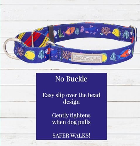 Lucky Love Dog Martingale Collar & Leash Set No Slip Cute – Mackey, Medium