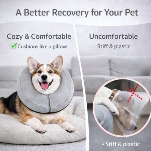 Inflatable Dog Cone Collar Alternative – Soft Recovery Donut E-Collar for Small, Medium, and Large Dogs & Cats After Surgery (Grey, L [18"-24"])