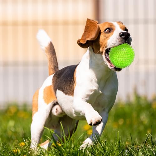 3.5” Squeaky Dog Toy Balls (6 Colors) Dog Toys Spikey Dogs Ball for Aggressive Chewers Heavy Duty Teething Large Medium Durable Dogs Balls
