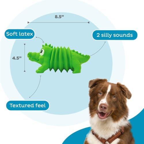 Outward Hound Accordionz Latex Rubber Squeaking Toy - Squeaky and Grunting Dog Toy, Alligator