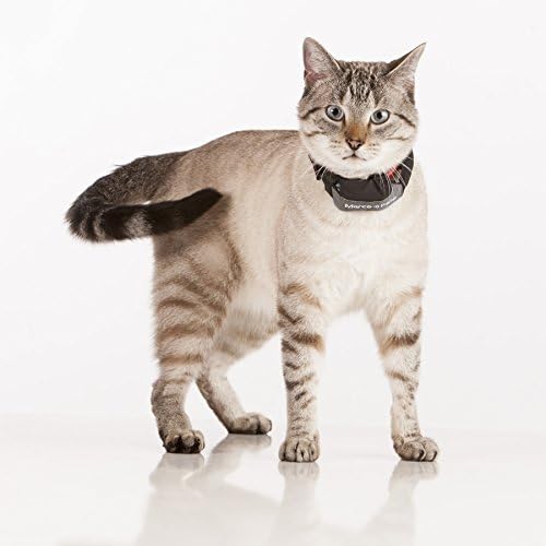 Marco Polo Advanced Pet Tracker for Cats & Dogs - GPS Alternative, No Monthly Fee or Subscription, Waterproof Long Range RF Finder, Anti-Lost Safety Collar Tag (1-Pet System)