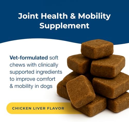 PetAg Dyne Joint Health & Mobility Soft Chews for Dogs | 45 Count