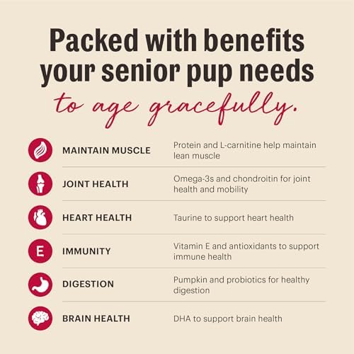 The Honest Kitchen Wholemade Whole Grain Senior Dog Food, Beef, Oat & Salmon Recipe, Human Grade Dehydrated Dog Food, Overall Health Support for Senior Dogs, Just Add Water, 2 lb Bag Makes 8 lbs