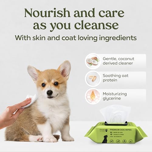 PAWFUME Dog Wipes, Unscented Pet Wipes, 2 Pack