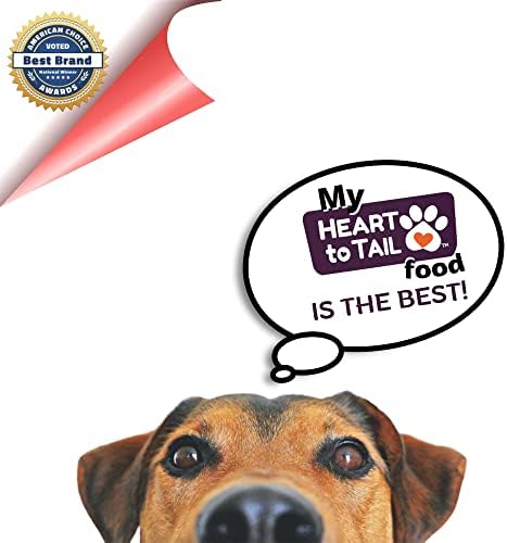 15 Trays Wet Dog Food 3.5 OZ Filet Mignon Flavor + Gift Bone