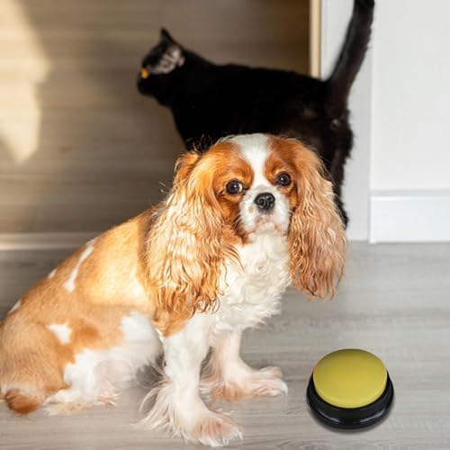 Dog Button – 8.8×4.2cm | Dog Buzzer | Pet Training Bell | Interactive