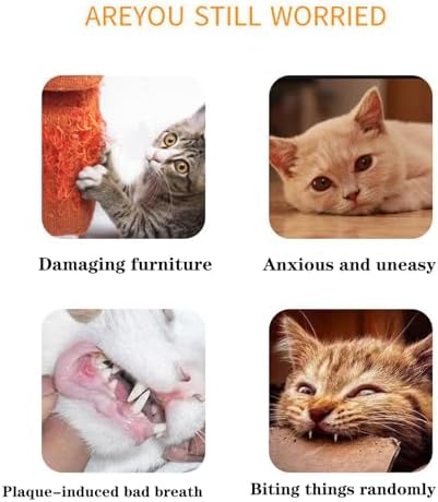 Cat Toys Pillows, Soft and Durable Catnip Toys with Crinkle Sound Inside，