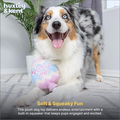 Huxley & Kent Power Plush Squeaky Dog Toy, Bunny Pop, Large