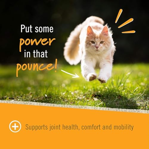 Pet Naturals Hip and Joint Chews for Cats, Duck Flavor, 30 Count