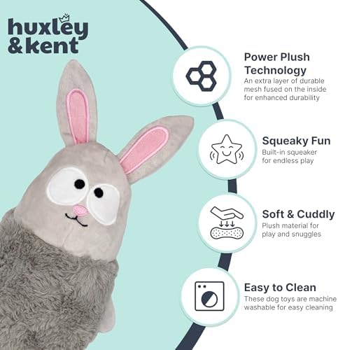 Huxley & Kent Funny Dog Toy w/Squeaker – Power Plush Squeaky Dog Toys for Small, Medium & Large Dogs – Soft Stuffed Animal for Indoor Play & Fetch - Squeak to Crunch - Lankies Binky Bunny, Large