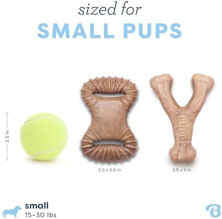 Benebone Puppy 2-Pack Dental Chew/Wishbone Dog Chew Toys, Real Bacon, Small