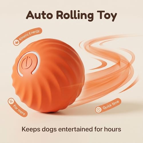 Winb Interactive LED Dog Ball （2 inch）- USB Rechargeable Motion-Activated Rolling Toy for Small Dogs, Dogs Ball Play and Wicked Fun,Orange