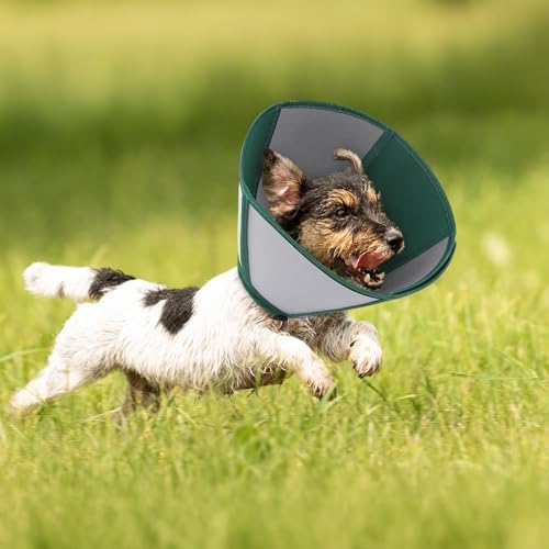Queenmore Large Dog Cone, Dog Cones for Large Dogs, Comfy Cone Collar Alternative After Surgery, Comfortable Recovery E-Collar for Pets to Stop Licking Wound Healing (Dark Green,XL)