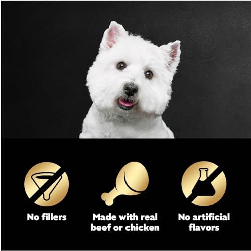 Cesar Filets in Gravy Wet Dog Food Filet Mignon Flavor and Rotisserie Chicken Flavor Variety Pack,Wet Food for Dogs,1.76 oz. Mini-Pouches,20 Count (Pack of 4)