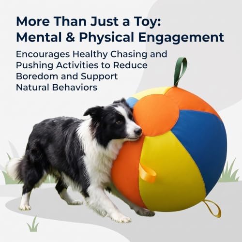 Herding Ball For Dogs Large Inflatable Outdoor Play Toy (25*20*25cm)