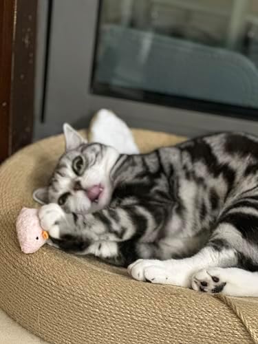 Durable Chew-Resistant Realistic Plush Mice Cat Teething Toys, Long-Lasting Interactive Kitten Toys