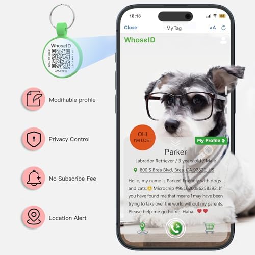 Personalized Dog Tag, Laser Engraving QR Code, Silicone Dog ID Tag, Pet Online Profile, Scan QR Code Send Location, Collar Harness Accessories (Medium to Large Breeds - 1.25", Green)