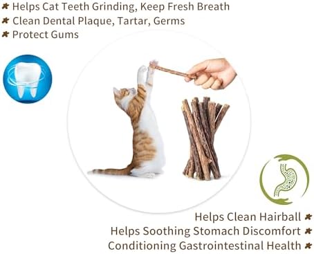 [ 15pcs Silvervine Sticks for Cats, Matatabi Cat Chew Sticks, Catnip Toys, Wooden Dental Sticks for Indoor Cats, Kitty, Kitten Teething Interactive Wand Toys