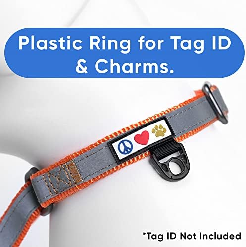 Pawtitas Customized Martingale Dog Collar Reflective Reflective Dog Collar Embroidered Personalized Name Phone Number Adjustable for Puppies Small Medium Large Size Dogs Small Orange