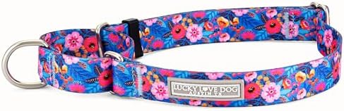 Lucky Love Dog Martingale Collar for Medium Dogs No Slip – Zuzu, Medium