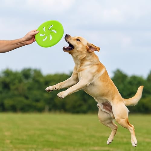 Dog Flying Disc EVA Material Pet Toy Outdoor Fetch Training Disc Durable Bite Resistant Safe on Teeth Lightweight Floating Interactive Disc (Purple)