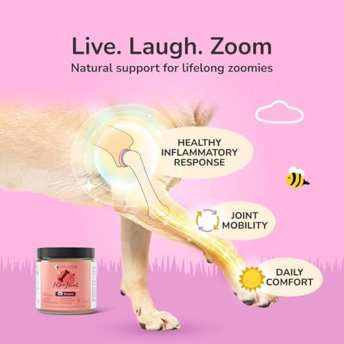 kin+kind Organic Turmeric Hip and Joint Supplement for Dogs and Cats – Supports Healthy Joint Mobility and Inflammatory Response – Vet Formulated – 8 oz