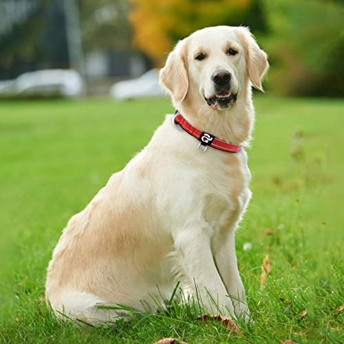 azuza Reflective Dog Collar,Soft Neoprene Padded Pet Collar with ID Tag Ring,Adjustable for Large Dogs,Red,L