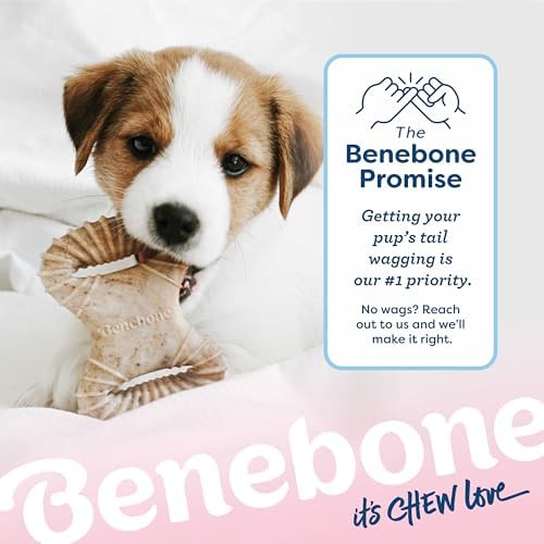 Benebone Puppy 2-Pack Dental Chew/Wishbone Dog Chew Toys, Real Bacon, Small