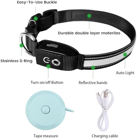 Auto Light Up Dog Collar - Smart Safety Night Collar with Motion Sensor - Auto-On in Dark - USB-C Rechargeable - 3 Day Runtime- IP65 Waterproof (L 20-24")