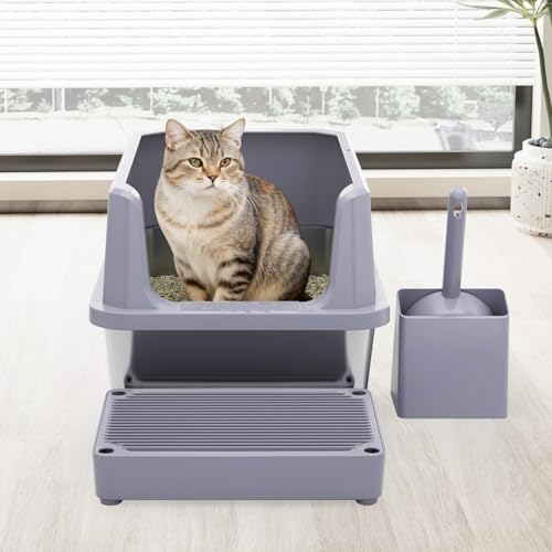 RIZZARI Cat Litter Box Non-Porous: Open High Sides for Indoor Cats