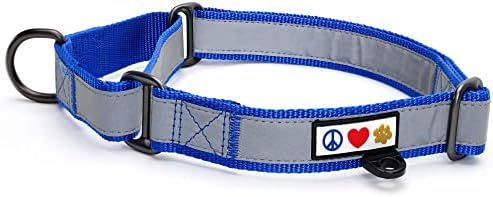 Pawtitas Personalized Dog Collar Martingale Dog Collar with Name Phone Number Reflective Martingale Dog Collar Customized Collar for Small Dogs | Blue Custom Dog Collars for Small Dogs