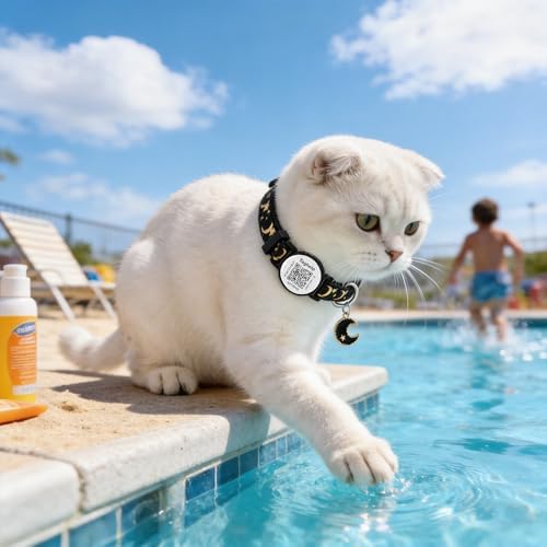 Upgraded Smart Cat Collar: Real-Time Scan Alerts & Shareable Pet Profile, Breakaway Safety Collar with QR Code ID Tag - Stars & Moon Design, No Monthly Fee (Black)