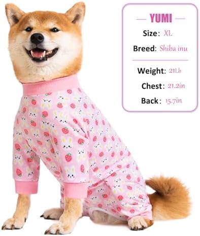 Dog Recovery Suit for Small Medium Large Dogs, Pet Onesie After Surgery Comfort Dog Bodysuit Anti Licking (Pink Bunny,M)