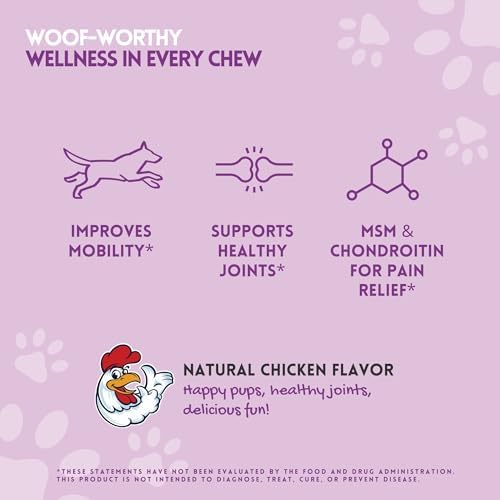 HERBION Pets Joint Care Chews with Glucosamine & Turmeric, 120 Soft Chews, MSM & Chondroitin for Pain Relief, Improves Mobility, Supports Healthy Joints, Made in USA, for Dogs 12 Weeks+, Pack of 1