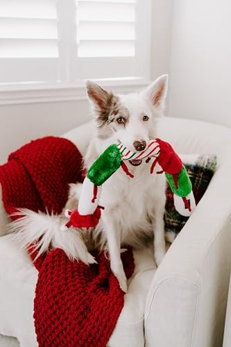 ZippyPaws Christmas Caterpillar Dog Toy - Stuffed Animals for Small & Medium Dogs & Puppies, Plush Interactive Squeaky Toys, Stocking Stuffer Gifts for Pets