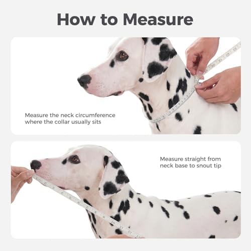 Avont Upgraded Dog Cone Collar Alternative After Surgery to Stop Licking-S