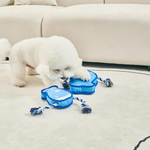 Durable Dog Toy – Interactive Rope Chew Toy with Crinkle Sound – Tough 1680D Fabric Tug Toy for Small, Medium & Large Dogs (Medium, Bone)