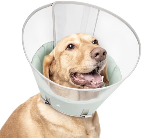 Dog Cone Collar with Snap-on Detachable Soft Liner, Lightweight Transparent Elizabethan Alternative to Stop Licking, for Spay Neuter Surgery Recovery, for Medium Large Small Dogs (Green,2XL)