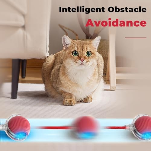 New Interactive Rolling Dog Ball, 360° Interactive Cat Toys for Indoor Cats, Electric Balls for Small Medium Dogs Cats, Grey 1pcs