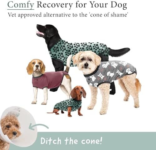 BellyGuard Dog Surgery Recovery Suit, Male Female After Spay Neuter Onesie