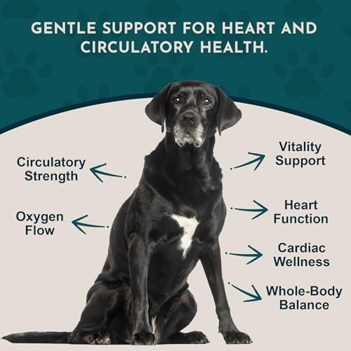 Animal Essentials Heart Health for Dogs & Cats - Cardiovascular Support Supplement, Healthy Heart, Organic Hawthorn Berry, Herbal Tincture - 2 Fl Oz
