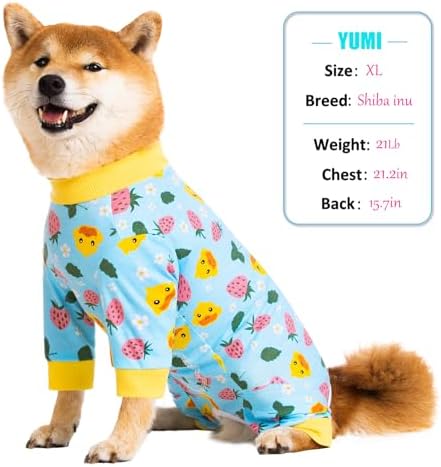 Dog Recovery Suit for Small Medium Large Dogs, Pet Onesie After Surgery Comfort Dog Bodysuit Anti Licking (Blue,2XL)